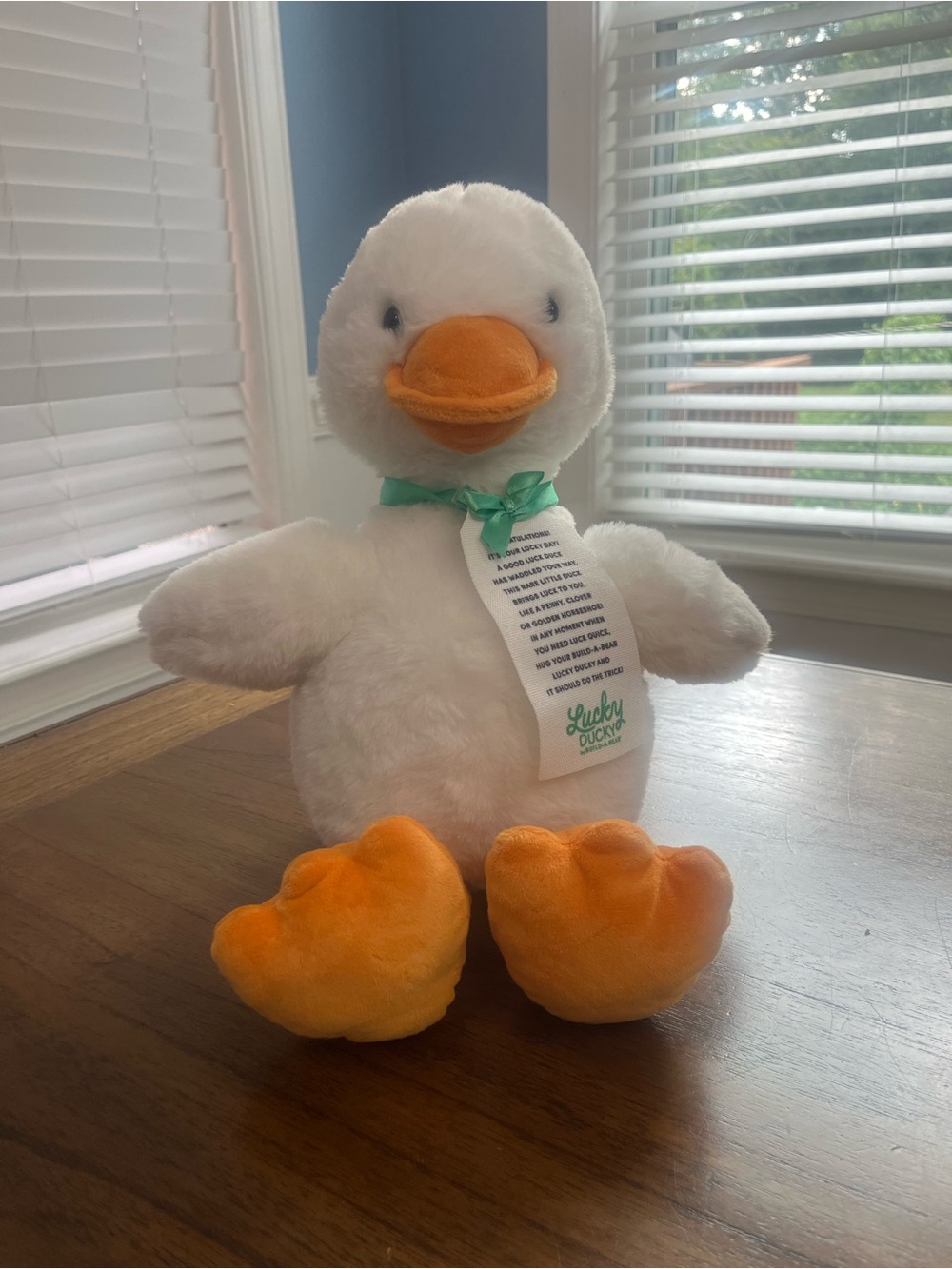 Build-A-Bear Lucky Ducky Plush White Duck Stuffed Animal Green Ribbon Tag